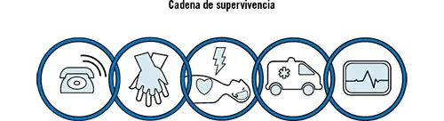 Los eslabones de la cadena de supervivencia son Alerta Reconocimiento y - фото 3