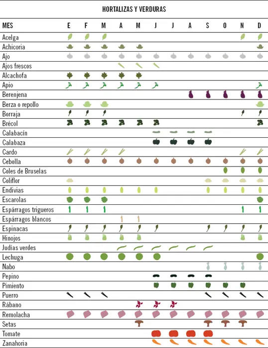 Tabla estacional de las hortalizas y verduras más comunes Sabía que - фото 21