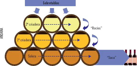 Vinos rosados Para definir un vino rosado habrá que fijarse en su origen o en - фото 31