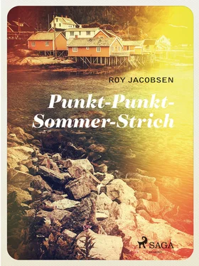 Roy Jacobsen Punkt - Punkt - Sommer - Strich обложка книги