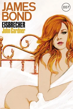 John Gardner James Bond 18: Eisbrecher обложка книги