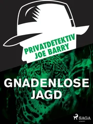 Joe Barry - Privatdetektiv Joe Barry - Gnadenlose Jagd