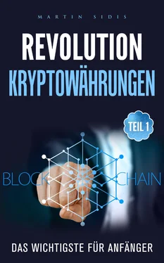 Martin Sidis Revolution: Kryptowährungen обложка книги