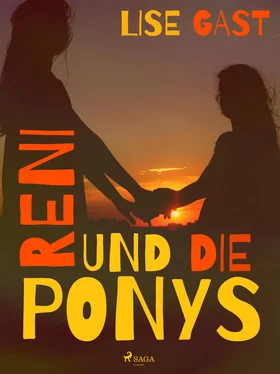 Lise Gast Reni und die Ponys обложка книги