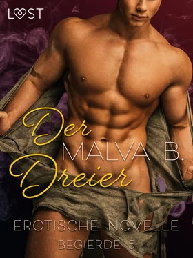 Malva B. Begierde 5 - Der Dreier: Erotische Novelle обложка книги