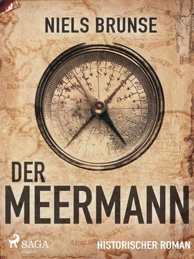 Niels Brunse Der Meermann обложка книги