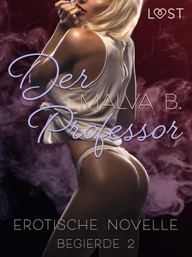Malva B. Begierde 2 - Der Professor: Erotische Novelle обложка книги