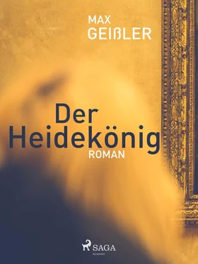 Max Geißler Der Heidekönig обложка книги