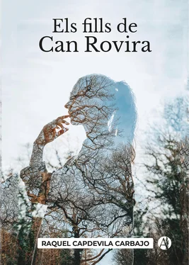 Raquel Capdevila Carbajo Els fills de Can Rovira обложка книги