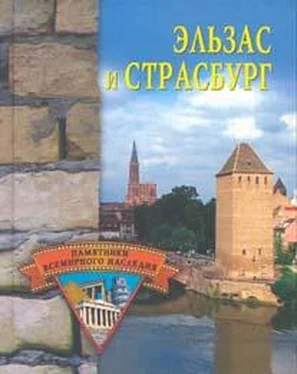 Елена Грицак Эльзас и Страсбург обложка книги