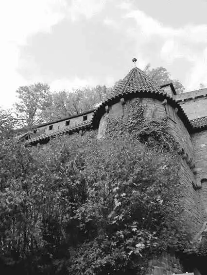 Высокий Кёнигсбург Сторожевая башня со стрелковой галереей позади Главный - фото 11