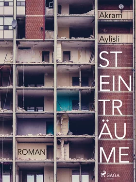 Akram Ailisli Steinträume - Ein Requiem обложка книги