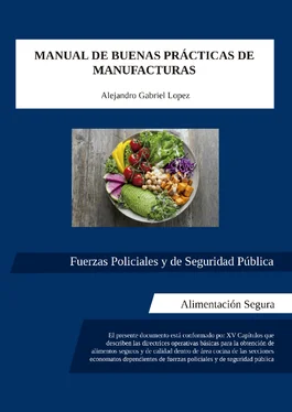Alejandro Gabriel López Manual de buenas prácticas de manufacturas обложка книги