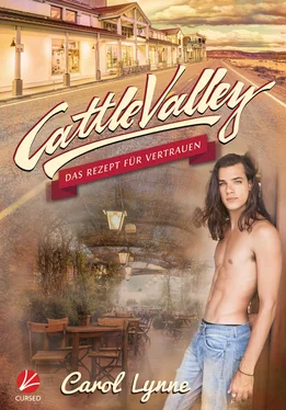 Carol Lynne Cattle Valley: Das Rezept für Vertrauen обложка книги