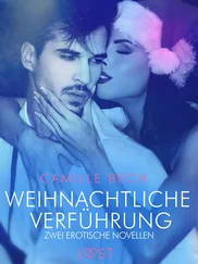 Camille Bech - Weihnachtliche Verführung – Zwei erotische Novellen