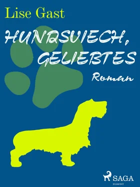 Lise Gast Hundsviech, geliebtes обложка книги