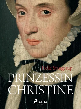 Helle Stangerup Prinzessin Christine обложка книги