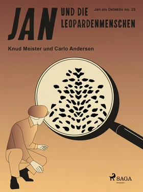 Carlo Andersen Jan und die Leopardenmenschen обложка книги