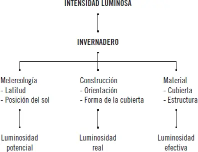 El conocimiento de la luminosidad potencialse utiliza para modelizar - фото 53