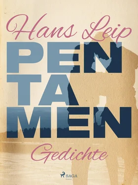 Hans Leip Pentamen обложка книги