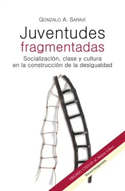 Gonzalo A. Saraví Juventudes fragmentadas обложка книги