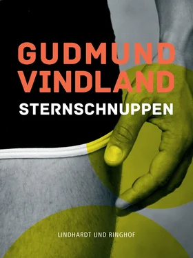 Gudmund Vindland Sternschnuppen обложка книги