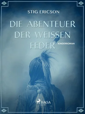 Stig Ericson Die Abenteuer der Weissen Feder обложка книги