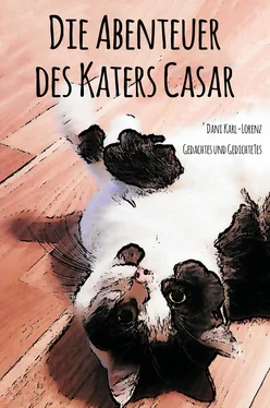 Dani Karl-Lorenz Die Abenteuer des Katers Casar обложка книги