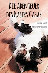 Dani Karl-Lorenz - Die Abenteuer des Katers Casar