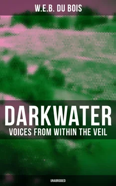 W.E.B. Du Bois Darkwater: Voices from Within the Veil (Unabridged) обложка книги