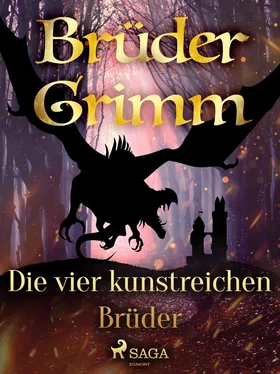 Brüder Grimm Die vier kunstreichen Brüder обложка книги