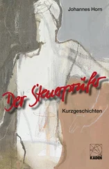 Johannes Horn - Der Steuerprüfer