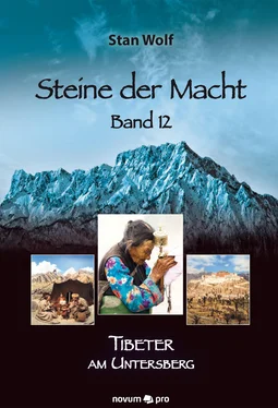 Stan Wolf Steine der Macht – Band 12 обложка книги