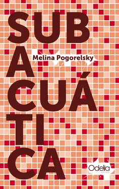 Melina Pogorelsky Subacuática обложка книги