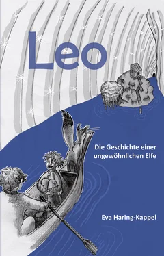 Eva Haring-Kappel Leo - Die Geschichte einer ungewöhnlichen Elfe обложка книги