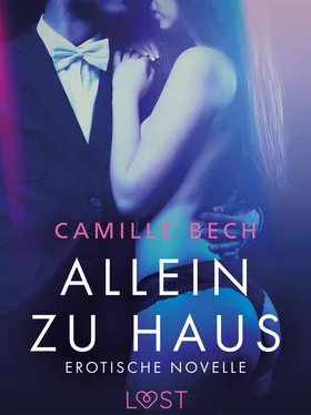 Camille Bech Allein zu Haus - Erotische Novelle обложка книги