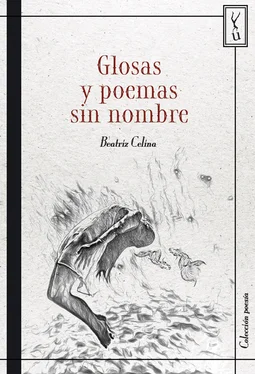 Beatriz Celina Glosas y poemas sin nombre обложка книги