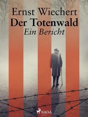 Ernst Wiechert Der Totenwald. Ein Bericht обложка книги