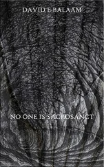 David Balaam - No One Is Sacrosanct
