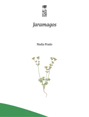 Nadia Prado Campos Jaramagos обложка книги