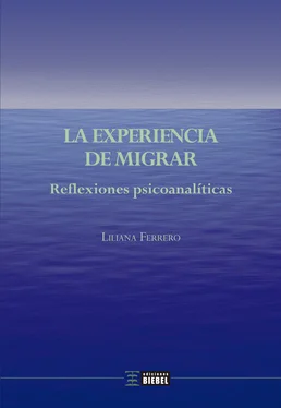 Liliana Ferrero La experiencia de migrar обложка книги