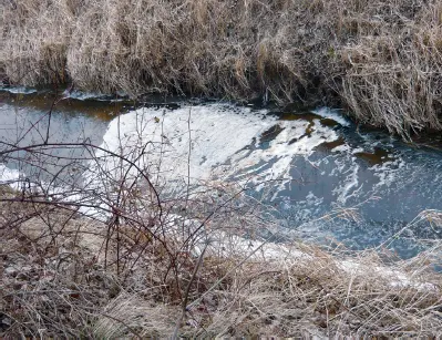 Como se puede observar en esta fotografía existe una contaminación del agua en - фото 9