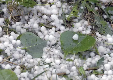 Muestra del tamaño y forma que el granizo puede adoptar 1 Lluvia es la - фото 13