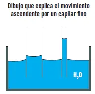 Una clara imagen de varios términos anteriormente estudiados donde se puede - фото 26
