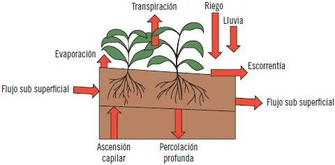 Una clara imagen de varios términos anteriormente estudiados donde se puede - фото 27