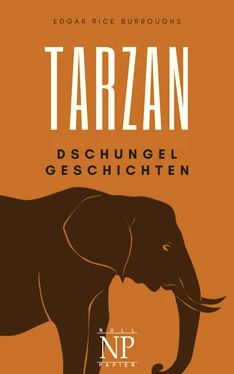 Edgar Burroughs Tarzan – Band 6 – Tarzans Dschungelgeschichten обложка книги