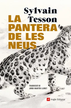 Sylvain Tesson La pantera de les neus обложка книги