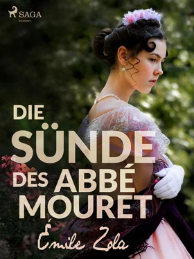 Emile Zola Die Sünde des Abbé Mouret обложка книги