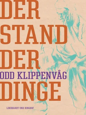 Odd Klippenvåg Der Stand der Dinge обложка книги