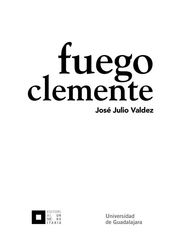 Fuego Clemente - изображение 3